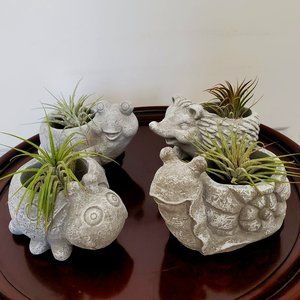 Cement Animal Planters, Hedgehog Snail Tortoise Ladybug, Succulent Planters